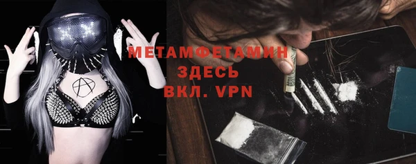 шишки Михайловск