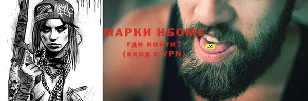 шишки Михайловск