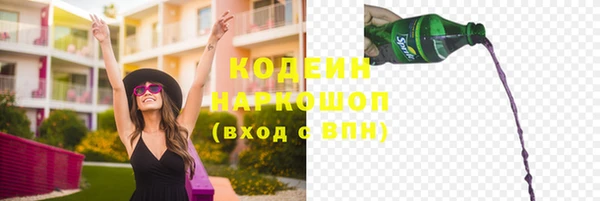 шишки Михайловск