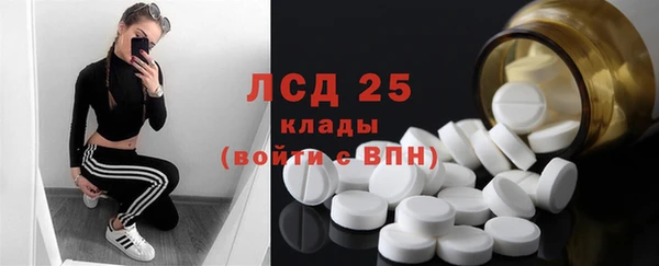 хмурый Мегион