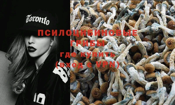 шишки Михайловск