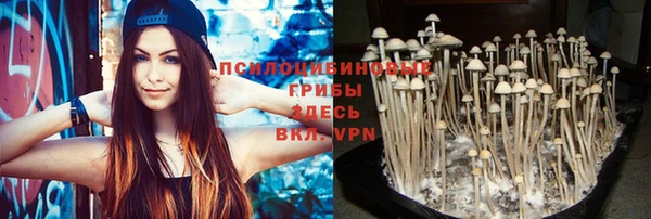соль курить ск Михайловка