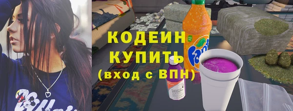 шишки Михайловск