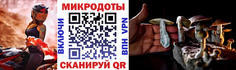 Галлюциногенные грибы мухоморы  Можга 