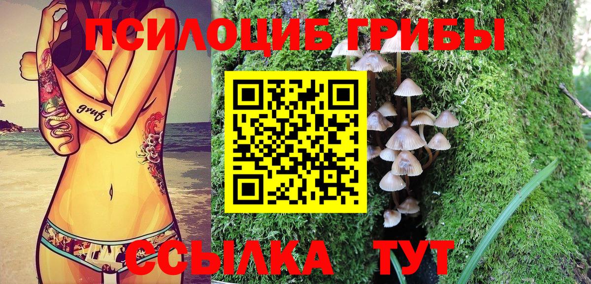 Можга  Псилоцибиновые грибы мухоморы  Вход с VPN 