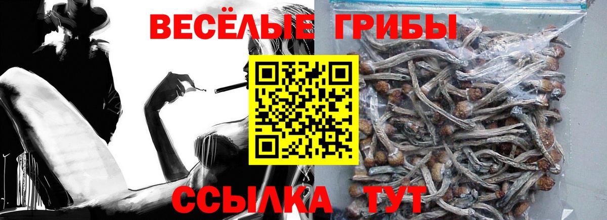 Псилоцибиновые грибы MAGIC MUSHROOMS Можга