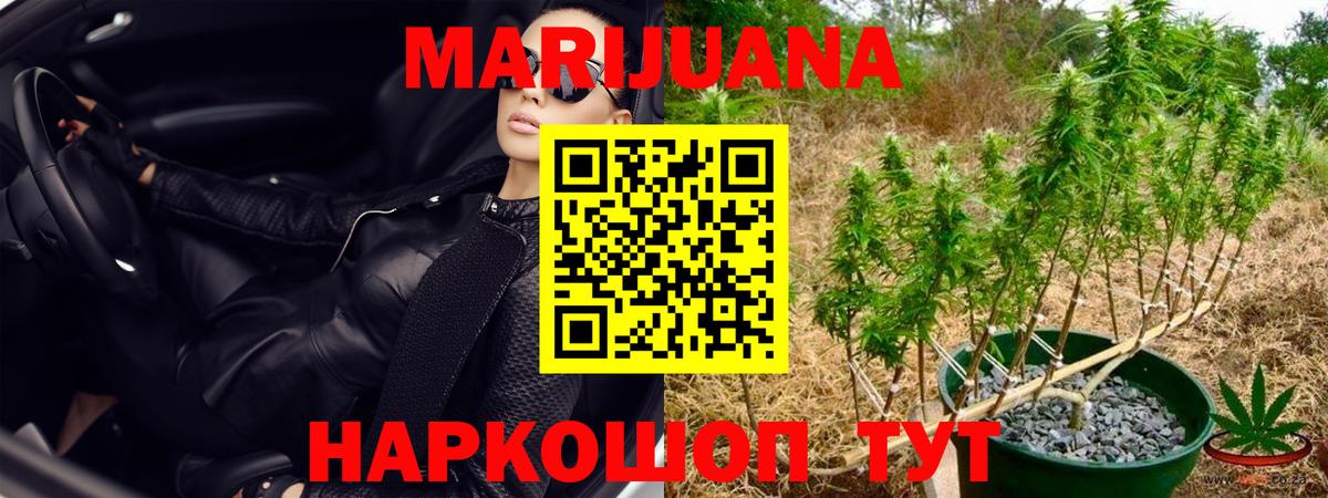 Бошки Шишки MAZAR  Конопля White Widow  Можга  Канабис марихуана 